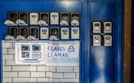 El TSJM rechaza las medidas cautelares contra el Plan Reside solicitadas por una empresa de pisos turísticos