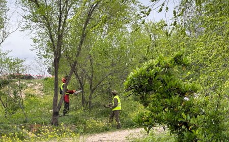 El Ayuntamiento de Madrid anuncia un parque verde de 63.000 metros cuadrados en Montecarmelo que rodeará al cantón
