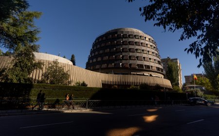 El Constitucional ampara a F. D. B. en su lucha por evitar la cárcel tras dejar las drogas y rehacer su vida