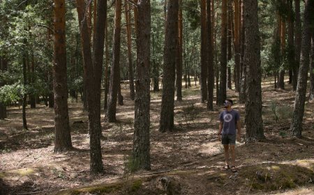Rascafría o Buitrago de Lozoya: el turismo rural de Madrid vive la Semana Santa al 82% de ocupación