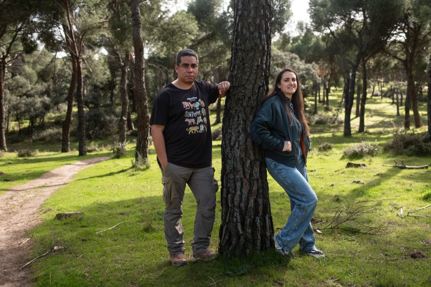 Hagan caso a los murciélagos en Madrid: son “fascinantes” y controlan las plagas