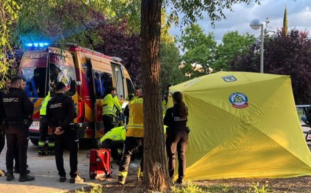 Muere apuñalado un joven de 20 años en un parque de Madrid tras una discusión por drogas