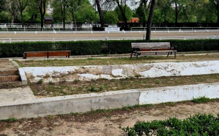 Los usuarios del Club de Campo de Madrid denuncian el deterioro de la hípica: “Con Carmena funcionaba mejor”