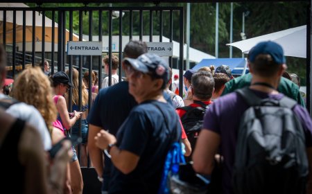 Madrid, el lugar con más piscinas al aire libre del país, con 14.757, solo tiene 25 públicas: “El que puede, huye; y el que no, sobrevive”