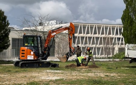 Vecinos de Montecarmelo piden a la Asamblea de Madrid que prohíba los cantones industriales cerca de colegios