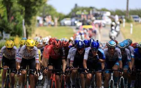 La última revolución: investigadores españoles logran cocinar geles de lactato, el maná de los ciclistas para disputar el Tour de Francia