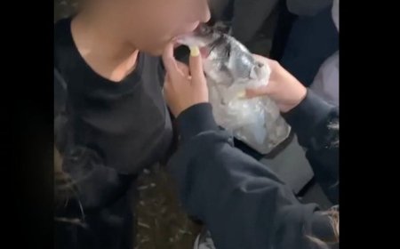Absueltos todos los acusados en el juicio de las novatadas en una residencia de Madrid porque no se les identifica en el vídeo