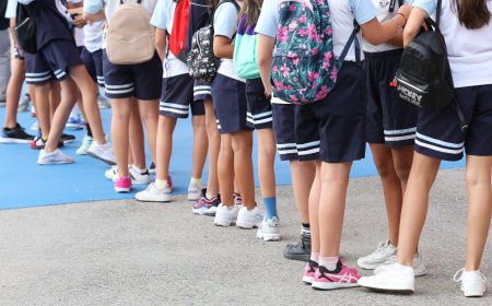 Un colegio privado de Madrid sufre un brote de salmonelosis que afecta a unos 90 estudiantes y profesores