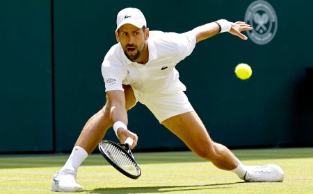 Un Djokovic feliz y creciente que reta a Federer: “¡Que venga Roger, terminemos con esto aquí!”