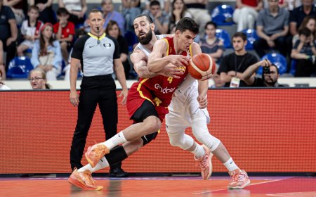 Shengelia firma la derrota de España
