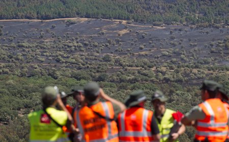 Controlado en incendio forestal de Lozoyuela (Madrid) tras calcinar 865 hectáreas