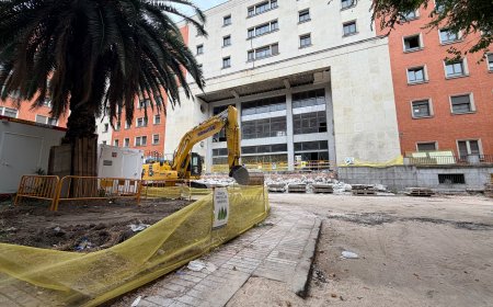 El Ayuntamiento de Madrid autoriza la tala de árboles protegidos en un antiguo hospital militar que explotará Quirón