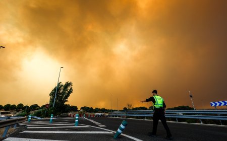 Última hora de los incendios forestales, en directo | El Gobierno avisa de que queda “poco” para que el incendio de Ávila se junte con el de Madrid