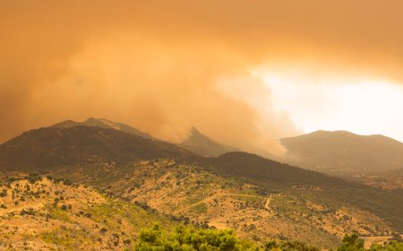 Última hora de los incendios forestales, en directo | Más de 60.000 afectados por el fuego voraz en Madrid y Ávila