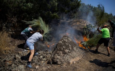 Última hora de los incendios forestales, en directo | El incendio de Ávila es ya el mayor de la historia de España con 50.000 hectáreas quemadas