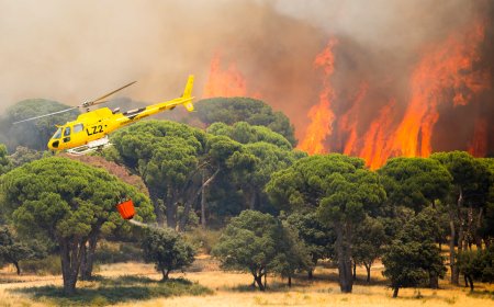 Última hora de los incendios forestales, en directo | Marlaska: “Estamos enfrentando el incendio más importante y agresivo de la historia de España”