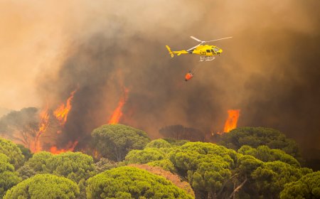 Los incendios de Madrid, Ávila y Toledo afectan ya a 77.000 hectáreas y obligan a evacuar o confinar a 90.000 personas
