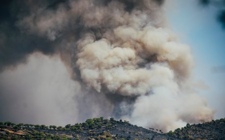 Última hora de los incendios forestales en España, en directo | Protección Civil informa de que la situación en el incendio de Ávila es “bastante más favorable”