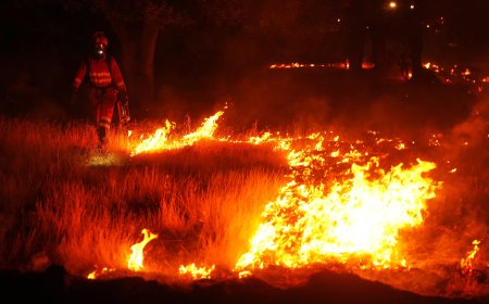 Última hora de los incendios forestales, en directo | Los trabajos en la sierra oeste de Madrid se centran en el entorno del río Cofio, uno de los puntos críticos