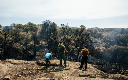 Carrera contra el fuego en Ávila y Madrid: los vecinos de 15 municipios vuelven a sus casas horas antes de la ola de calor