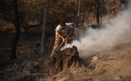 Última hora de los incendios forestales, en directo | El ministro del Interior da por estabilizado el incendio en Madrid y levanta varias evacuaciones