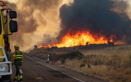 Última hora de los incendios forestales, en directo | Un incendio en el parque natural Arribes del Duero (Zamora) obliga a desalojar 12 localidades