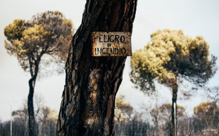 El Madrid de los incendios se topa con las fiestas patronales