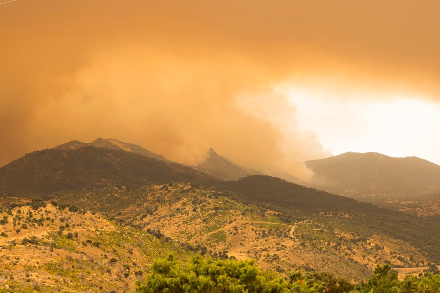 Última hora de los incendios forestales, en directo | Más de 60.000 afectados por el fuego voraz en Madrid y Ávila