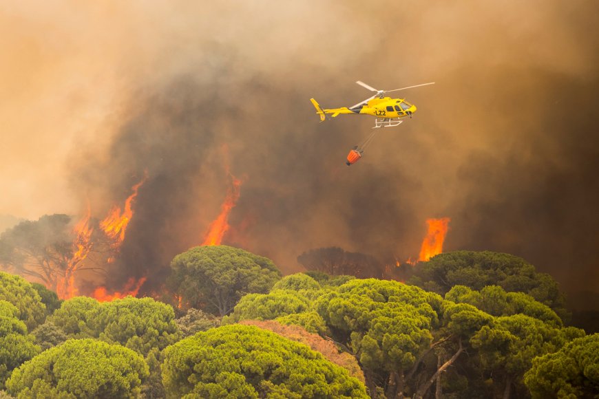 Última hora de los incendios forestales, en directo | El incendio de Madrid sigue activo mientras las labores de extinción se concentran en el embalse de San Juan