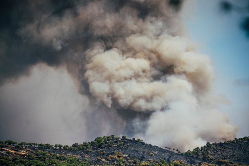 Última hora de los incendios forestales en España, en directo | Protección Civil informa de que la situación en el incendio de Ávila es “bastante más favorable”