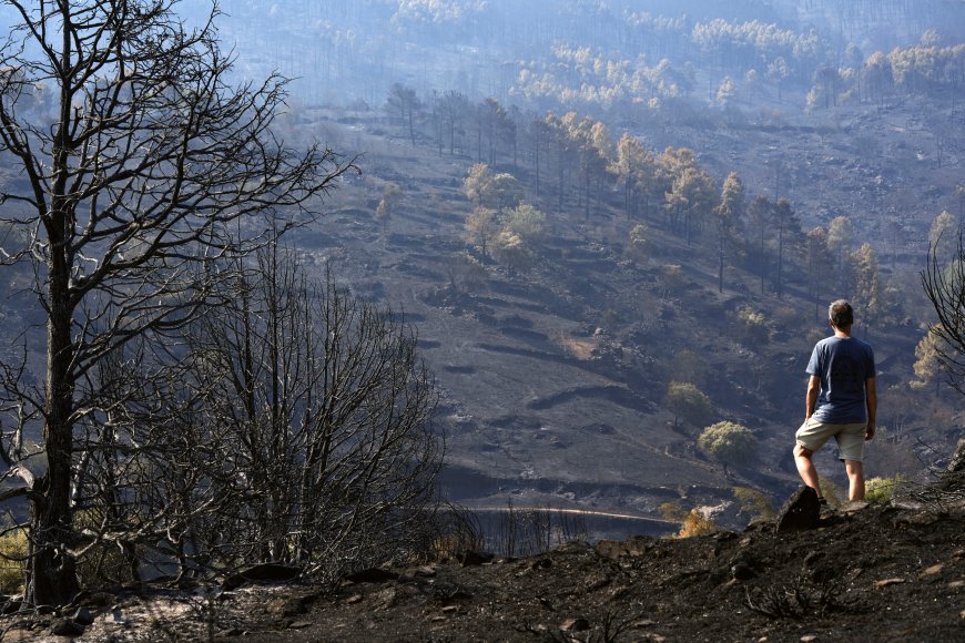 Última hora de los incendios forestales, en directo | Marlaska anuncia que en las últimas 24 horas “no ha habido ningún avance del fuego” en el incendio de Ávila y Madrid