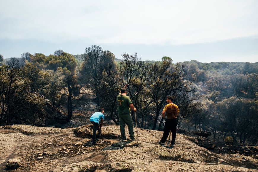 Carrera contra el fuego en Ávila y Madrid: los vecinos de 15 municipios vuelven a sus casas horas antes de la ola de calor
