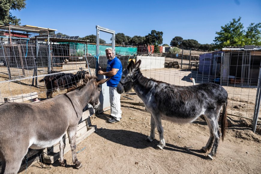 Un hogar después de las llamas: el santuario que rescata a los animales afectados por los incendios