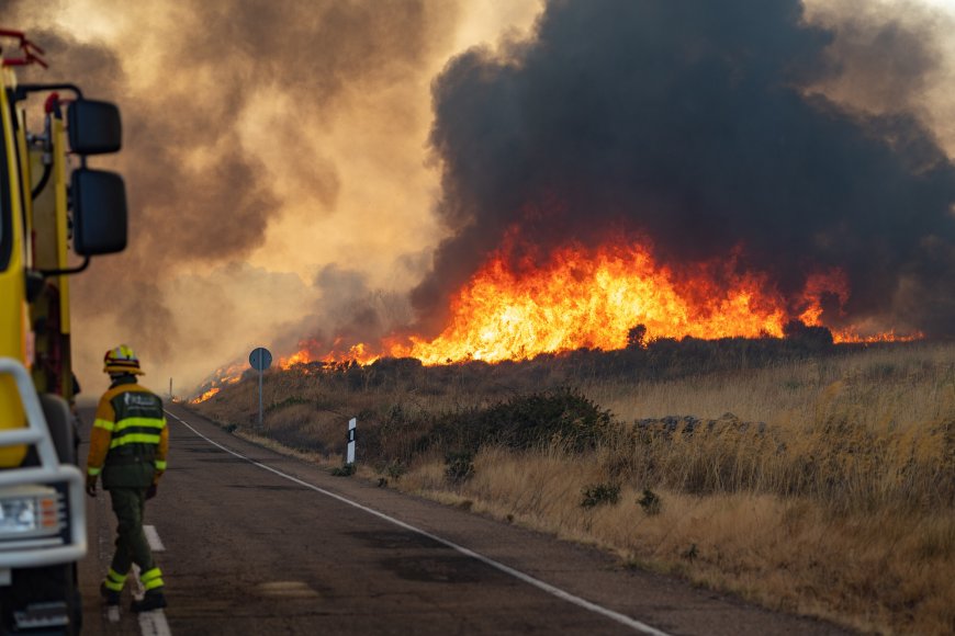Última hora de los incendios forestales, en directo | Un incendio en el parque natural Arribes del Duero (Zamora) obliga a desalojar 11 localidades