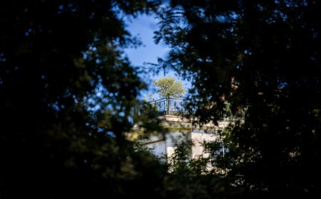 Planifica Madrid actualiza su agenda una vez que El País publica que la mantenía oculta desde el 26 de marzo