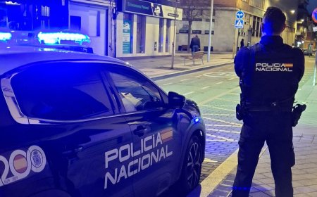Detenido el ‘ladrón de la patada en la puerta’ tras 13 robos en el centro de Madrid