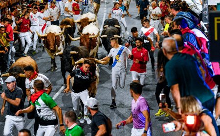 Catorce heridos en el único encierro nocturno de las fiestas de San Sebastián de los Reyes
