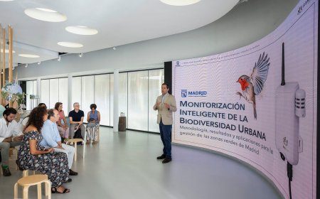 Una red de 15 sensores con IA para estudiar las aves de Madrid: así funciona el nuevo sistema del Ayuntamiento