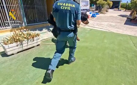 Investigados por maltrato animal los dos dueños de una escuela canina en Navalcarnero
