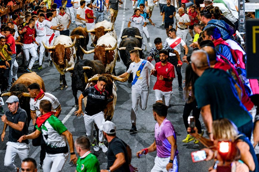 Catorce heridos en el único encierro nocturno de las fiestas de San Sebastián de los Reyes