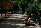 Madrid quiere 1.602 bancos para hacer frente a las quejas de los vecinos y los asientos ‘ilegales’