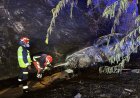 Cuatro jóvenes heridos al caer el coche en el que circulaban por un terraplén y arder en Pinto