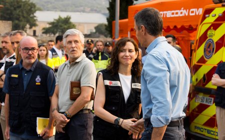 Sánchez y Ayuso chocan en el Constitucional por la ley de Madrid para perseguir protestas como la anti-Israel de la Vuelta