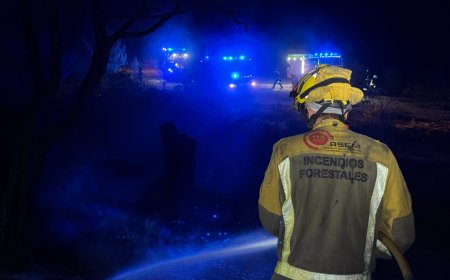 Estabilizado el incendio de Santa María de la Alameda tras afectar a unas 43 hectáreas