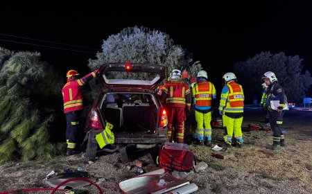 Un hombre, herido grave al salirse de la vía, subirse a una rotonda y chocar contra un árbol en Griñón