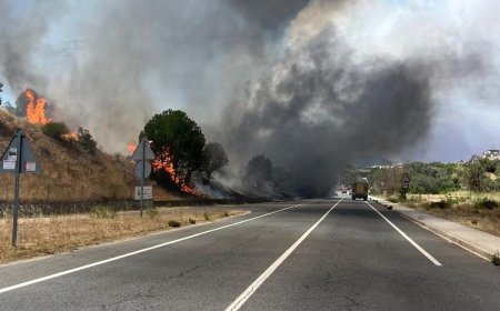 Ayuso proyecta llevar la M-501 como autovía hasta Ávila pese a que cruza tres zonas protegidas