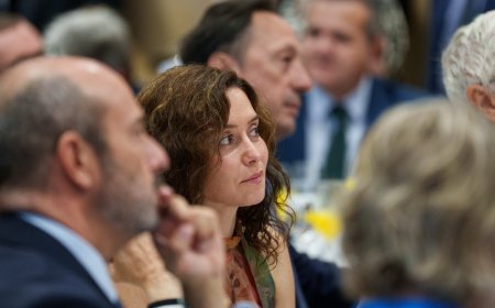 El PP impide en la Asamblea una decena de preguntas de la oposición a Ayuso sobre el ático