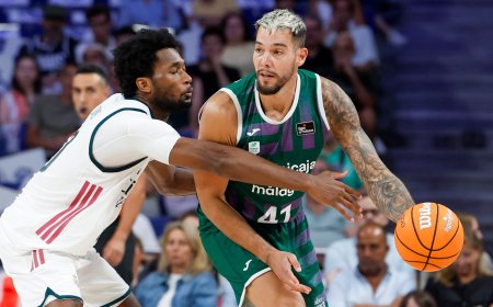 Willy Hernangómez pinta su carrera de otro color en el Unicaja Málaga