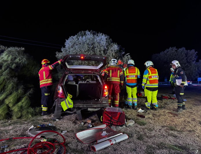 Un conductor, herido grave al salirse de la vía, subirse a una rotonda y chocar contra un árbol en Griñón