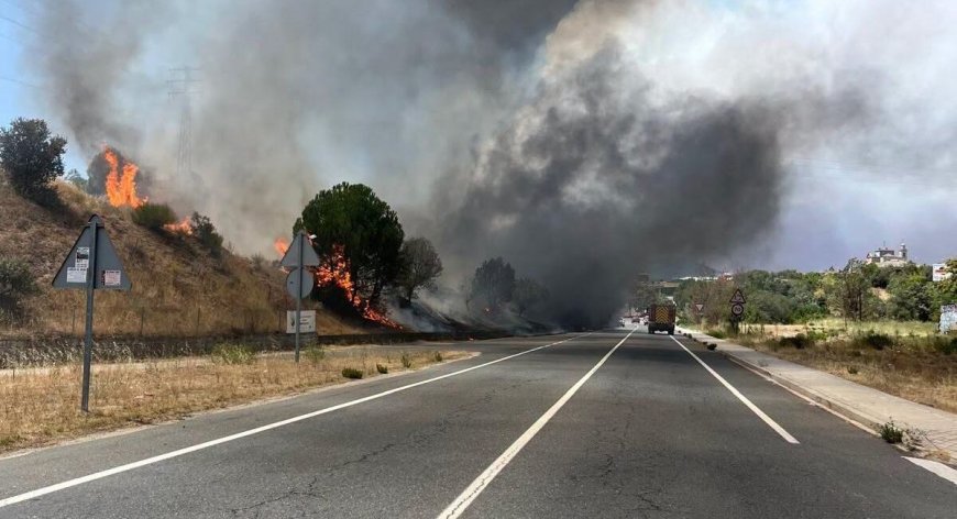 Ayuso proyecta llevar la M-501 como autovía hasta Ávila pese a que cruza tres zonas protegidas